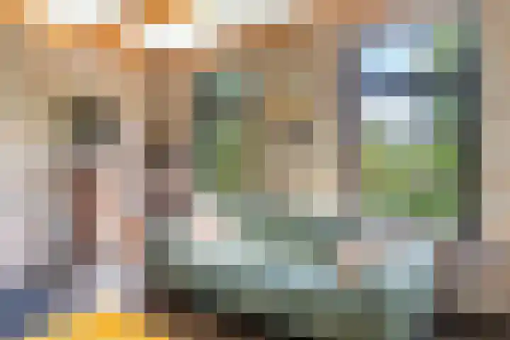 Wijsterseweg 1 Mantinge thumbnail 12
