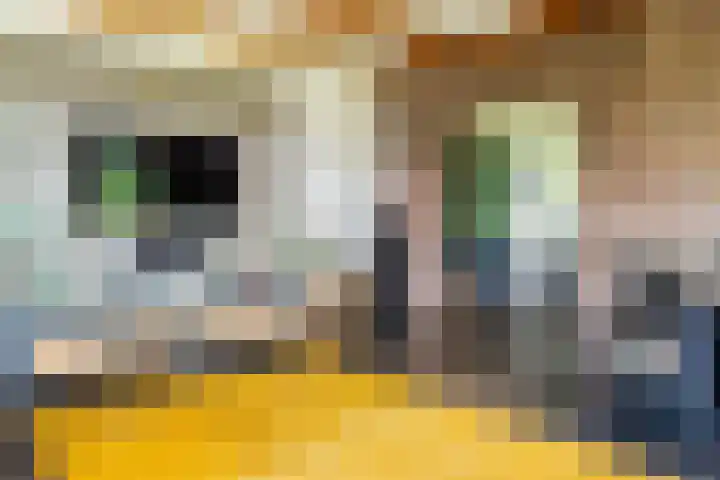 Wijsterseweg 1 Mantinge thumbnail 13