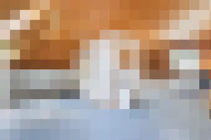 Wijsterseweg 1 Mantinge thumbnail 19