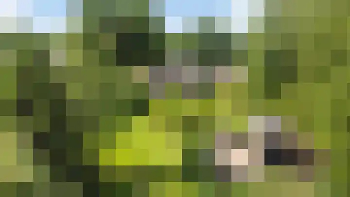 Wijsterseweg 1 Mantinge foto 2