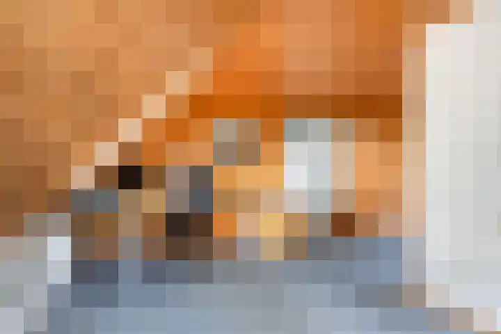 Wijsterseweg 1 Mantinge thumbnail 20