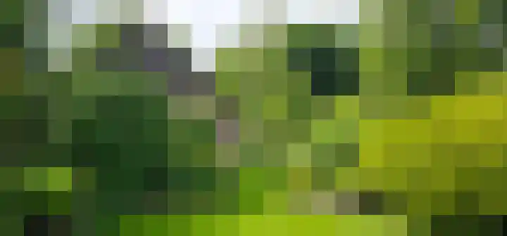 Wijsterseweg 1 Mantinge thumbnail 22