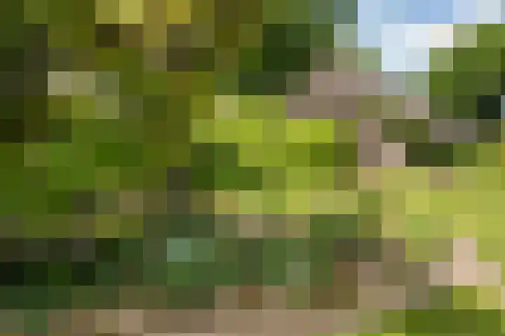 Wijsterseweg 1 Mantinge thumbnail 23