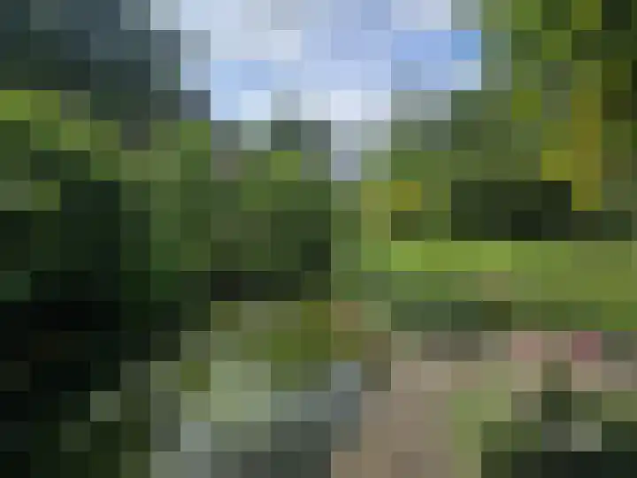 Wijsterseweg 1 Mantinge thumbnail 24