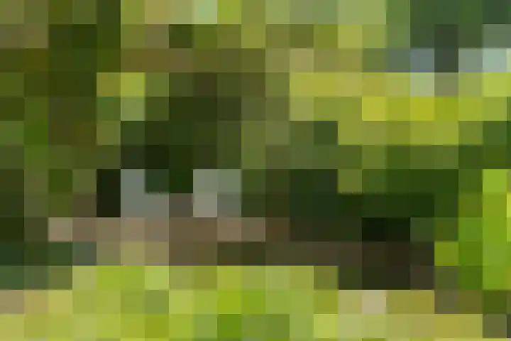 Wijsterseweg 1 Mantinge thumbnail 25