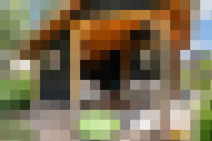 Wijsterseweg 1 Mantinge thumbnail 26