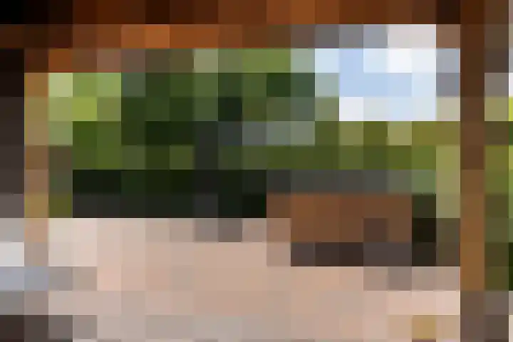 Wijsterseweg 1 Mantinge thumbnail 27