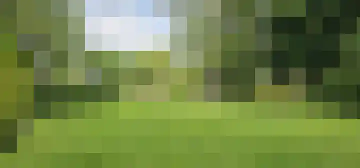 Wijsterseweg 1 Mantinge thumbnail 30
