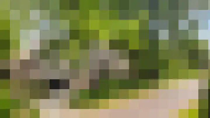 Wijsterseweg 1 Mantinge thumbnail 32