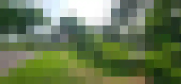 Wijsterseweg 1 Mantinge thumbnail 34