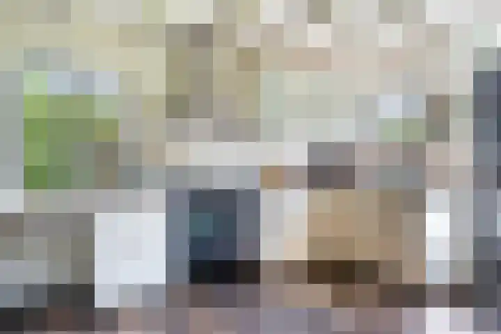 Wijsterseweg 1 Mantinge thumbnail 9