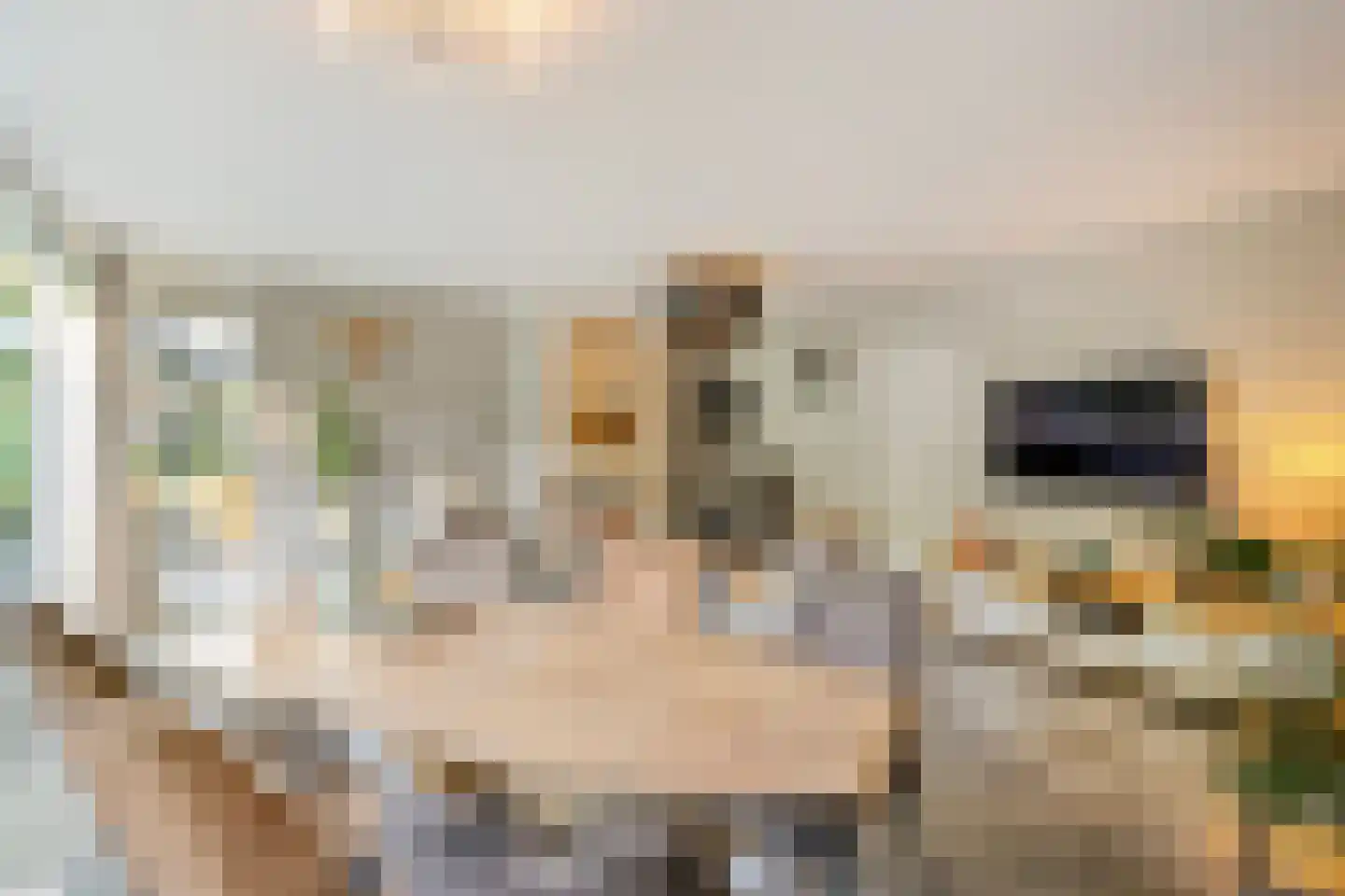Wijsterseweg 15 23 Spier thumbnail 14