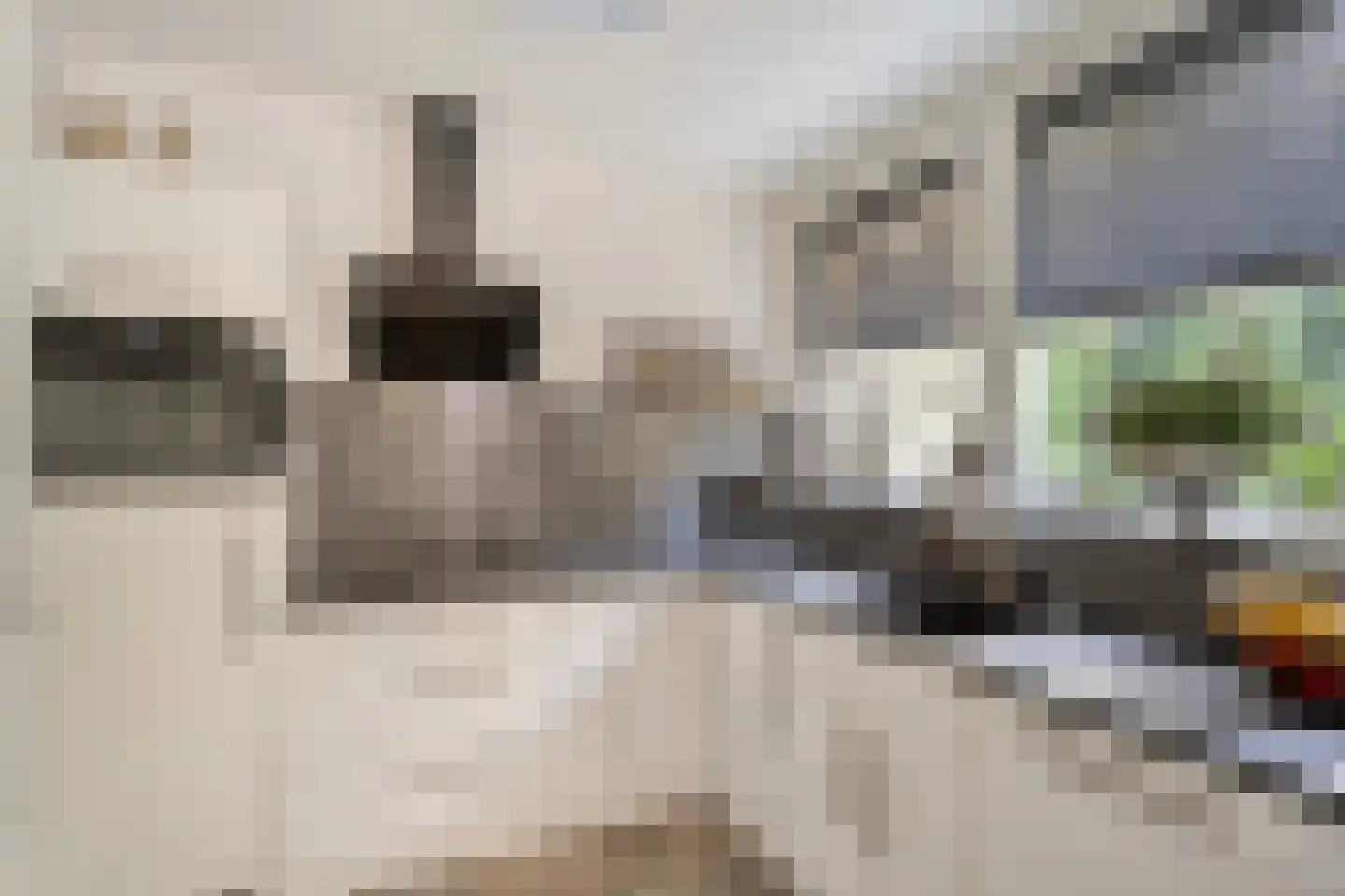 Wijsterseweg 15 23 Spier thumbnail 15