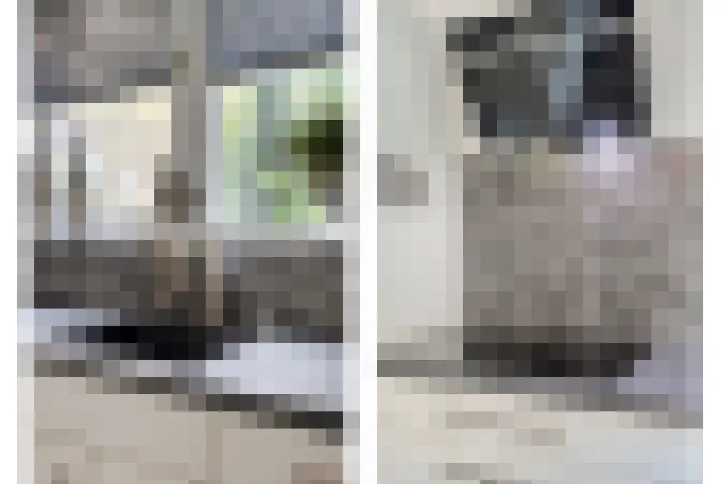 Wijsterseweg 15 23 Spier thumbnail 18