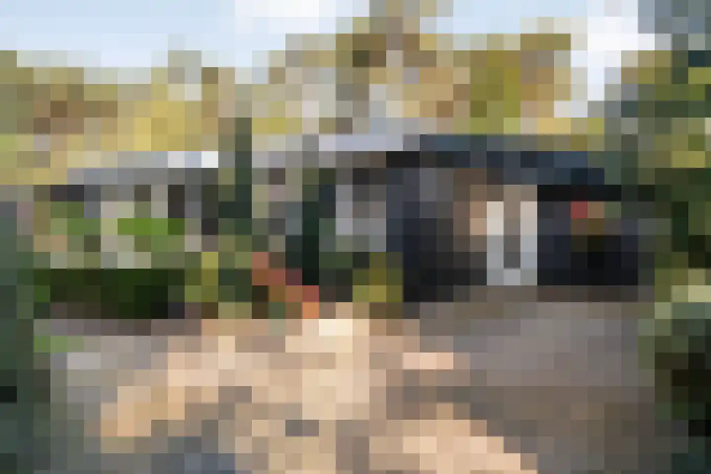 Wijsterseweg 15 23 Spier foto 3