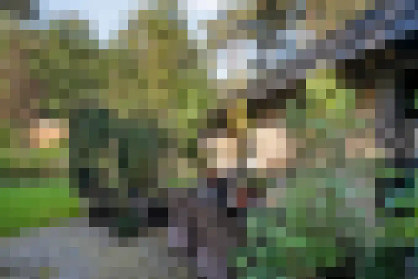 Wijsterseweg 15 23 Spier thumbnail 40
