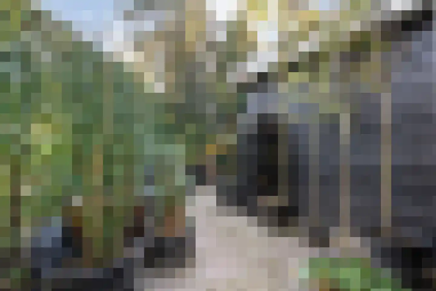 Wijsterseweg 15 23 Spier thumbnail 41