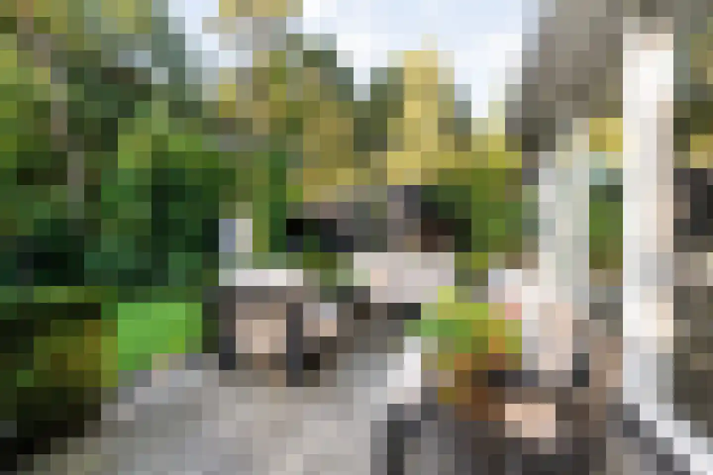 Wijsterseweg 15 23 Spier thumbnail 48