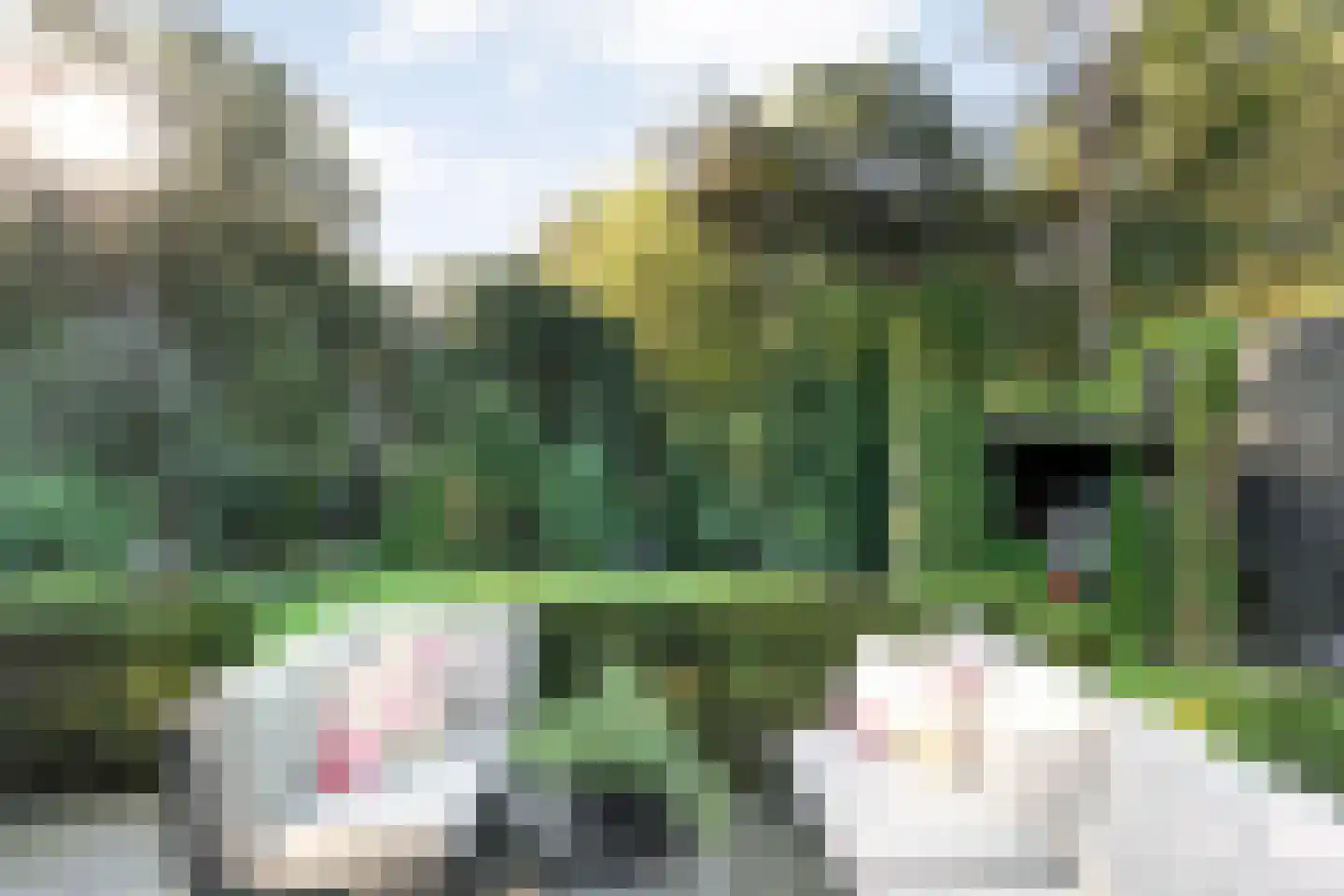 Wijsterseweg 15 23 Spier thumbnail 50