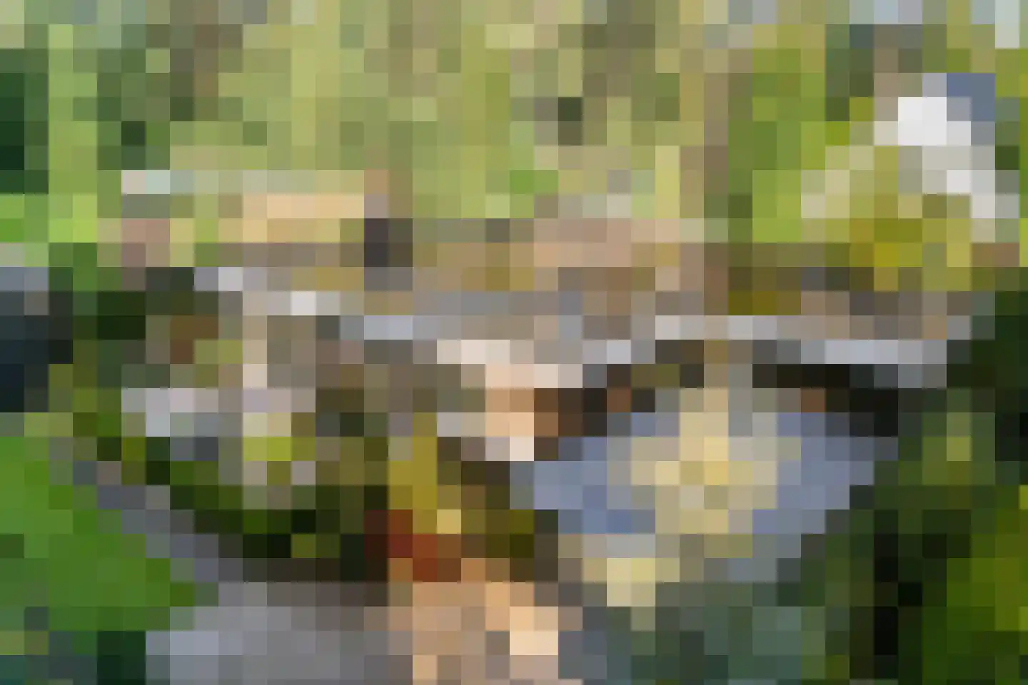 Wijsterseweg 15 23 Spier thumbnail 51