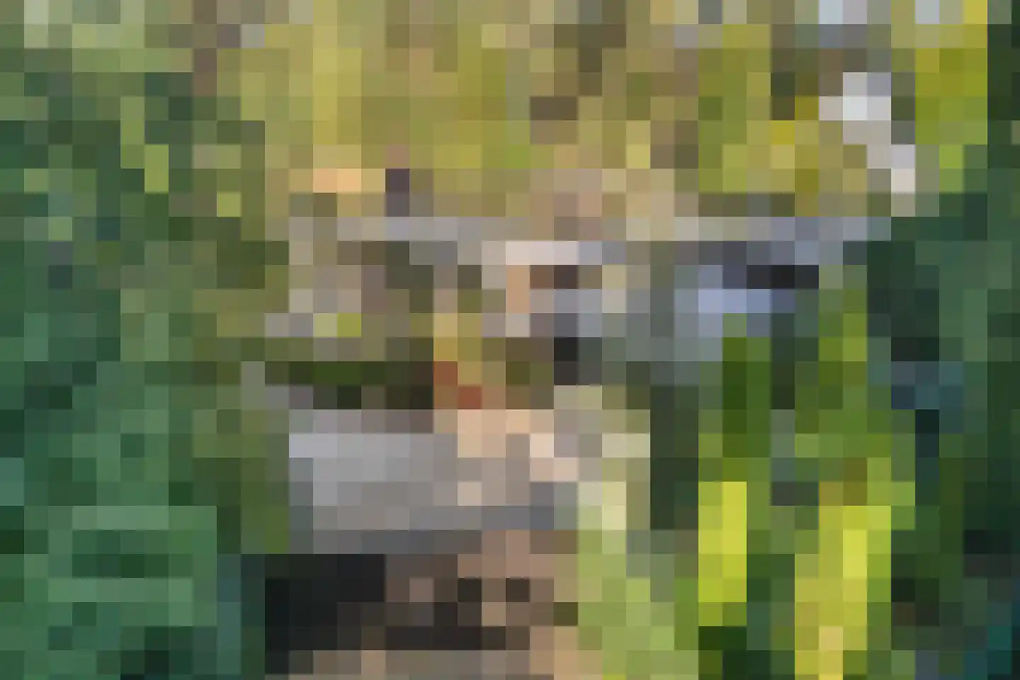 Wijsterseweg 15 23 Spier thumbnail 52