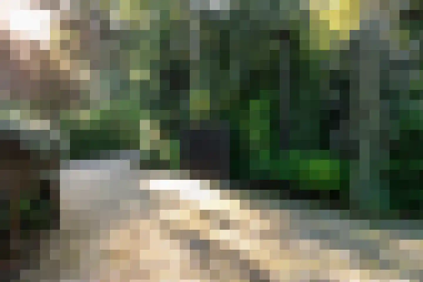 Wijsterseweg 15 23 Spier thumbnail 57