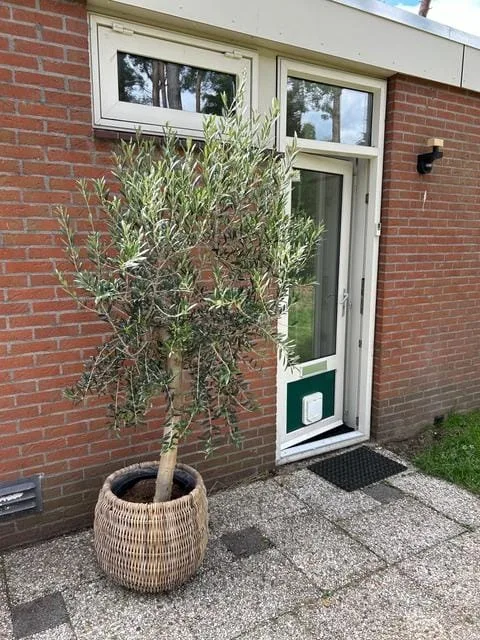 Wijsterseweg 15 30 Spier thumbnail 27