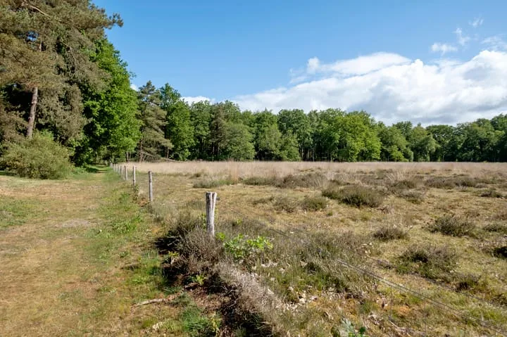 Wijsterseweg 18 18 Spier thumbnail 47