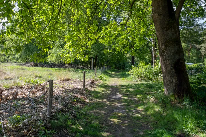 Wijsterseweg 18 18 Spier thumbnail 50