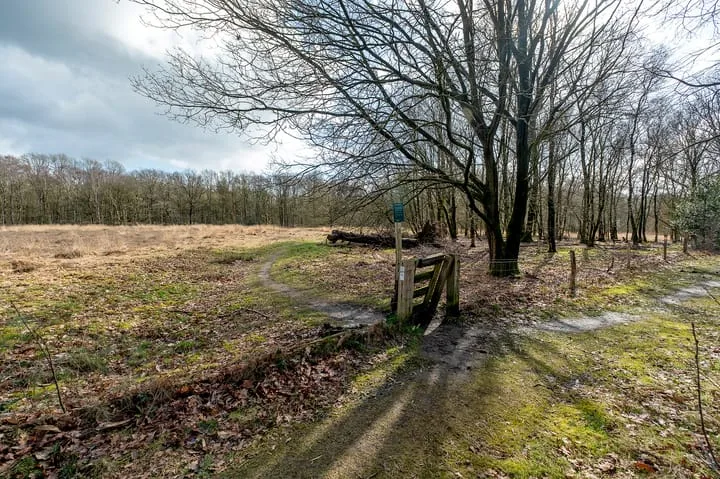 Wijsterseweg 18 19 Spier thumbnail 33