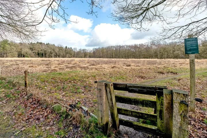 Wijsterseweg 18 19 Spier thumbnail 37