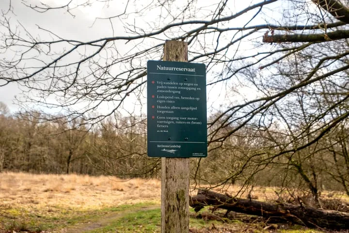 Wijsterseweg 18 19 Spier thumbnail 38