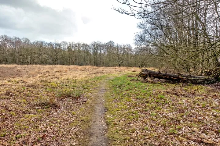 Wijsterseweg 18 19 Spier thumbnail 39