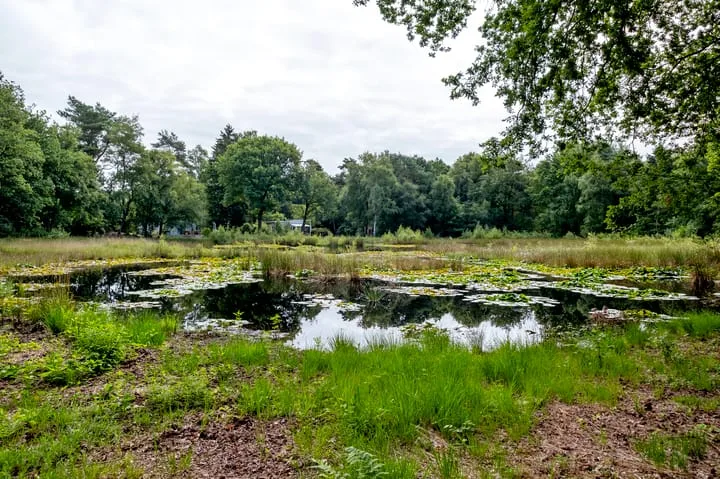Wijsterseweg 18 3 Spier thumbnail 37