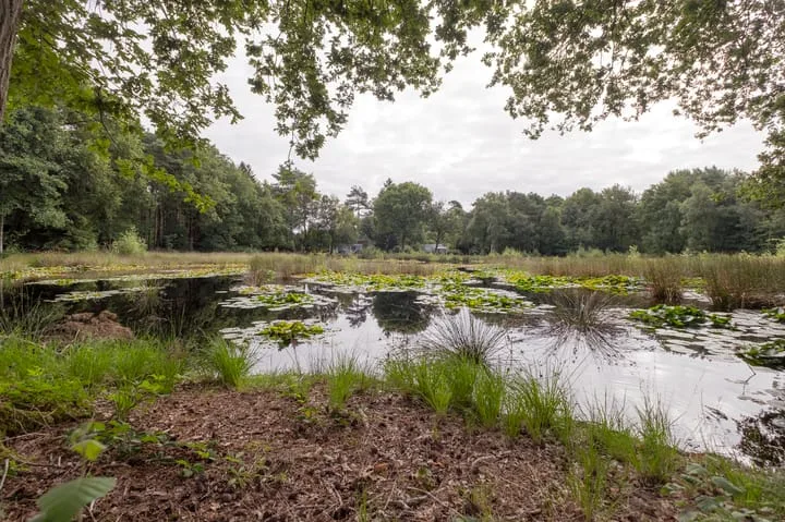 Wijsterseweg 18 3 Spier thumbnail 38