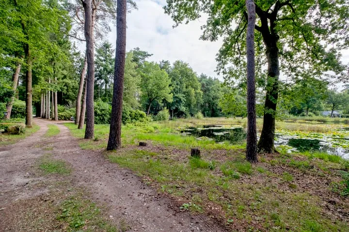 Wijsterseweg 18 3 Spier thumbnail 41