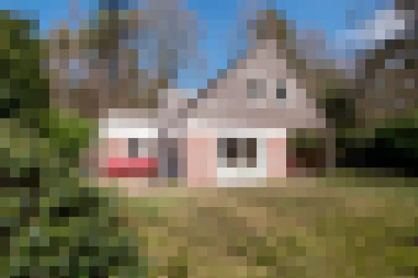 Wijsterseweg 18 35 en Spier