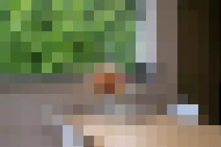 Wijsterseweg 18 35 Spier thumbnail 16
