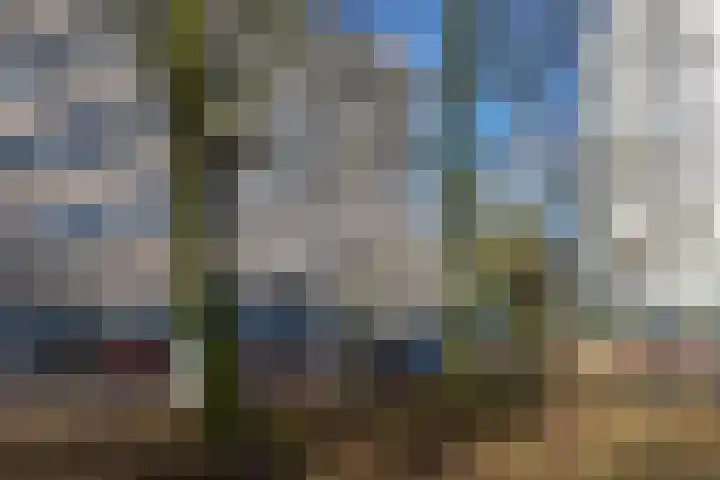 Wijsterseweg 18 35 Spier thumbnail 31