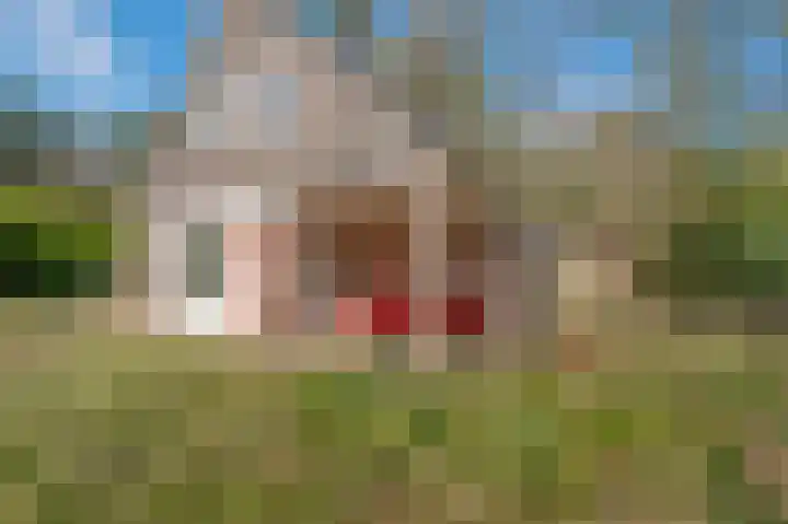 Wijsterseweg 18 35 Spier thumbnail 43