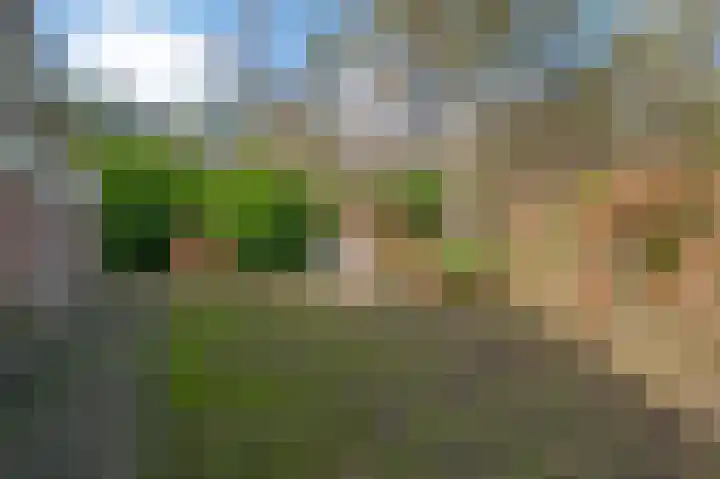 Wijsterseweg 18 35 Spier thumbnail 46