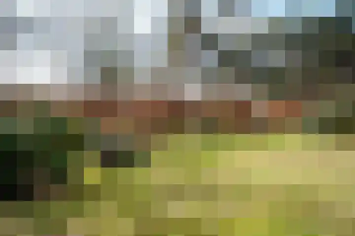 Wijsterseweg 18 35 Spier thumbnail 49