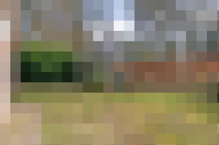 Wijsterseweg 18 35 Spier thumbnail 50