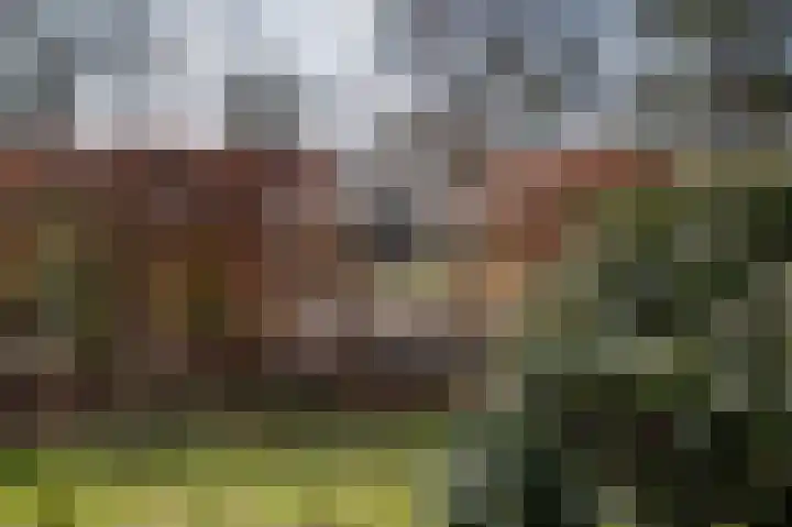 Wijsterseweg 18 35 Spier thumbnail 51