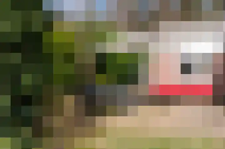 Wijsterseweg 18 35 Spier thumbnail 54