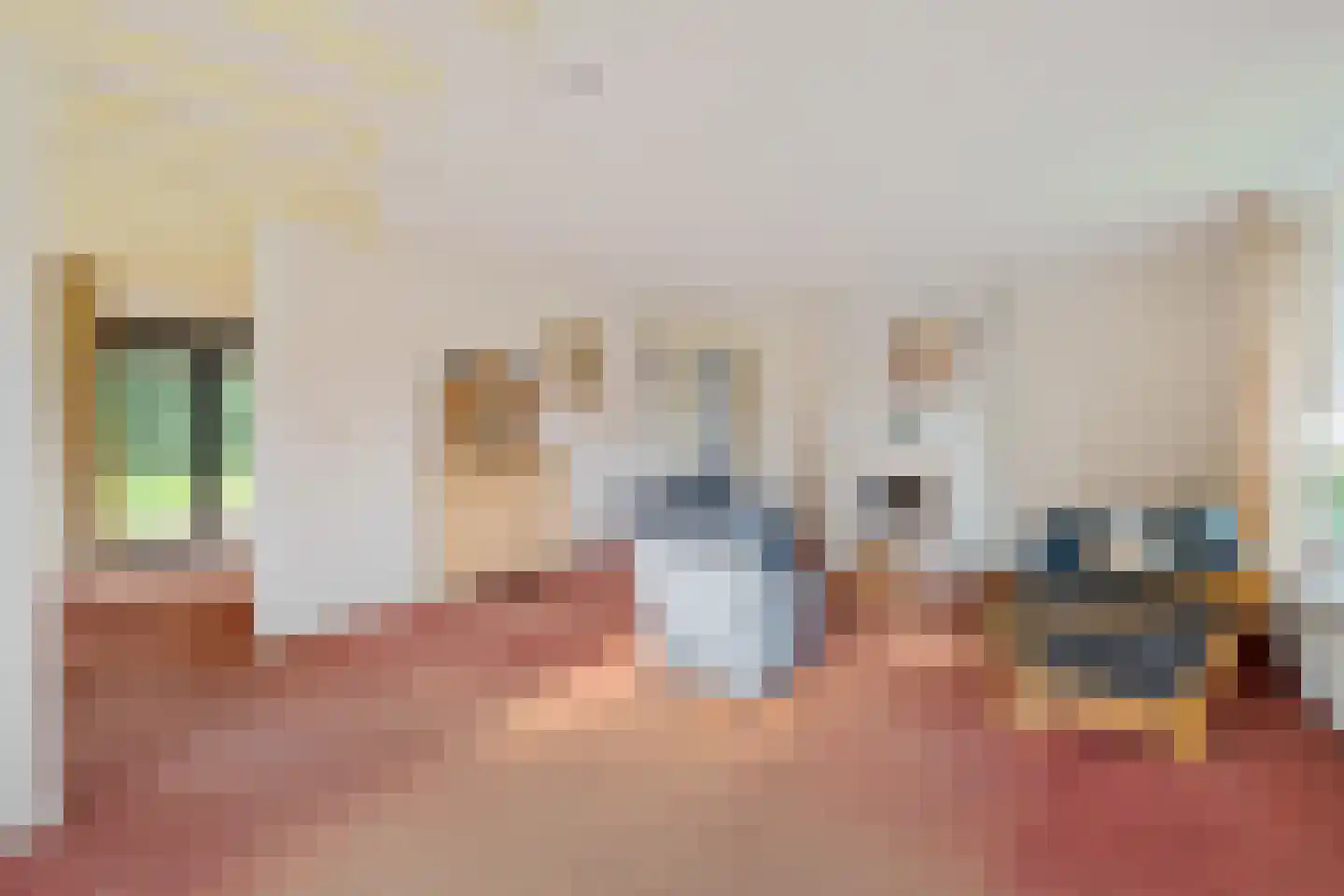 Wijsterseweg 6 Mantinge thumbnail 12