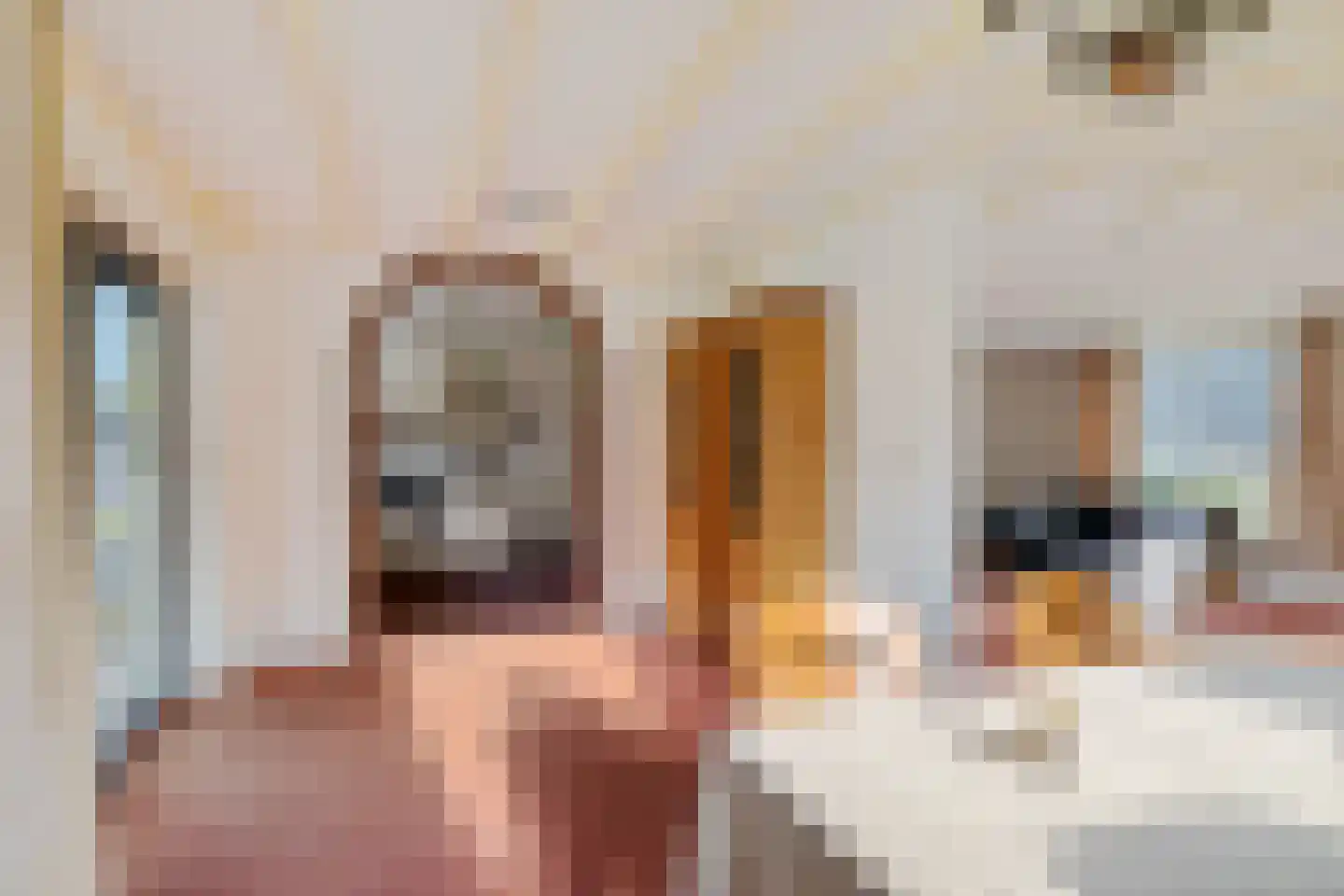 Wijsterseweg 6 Mantinge thumbnail 14
