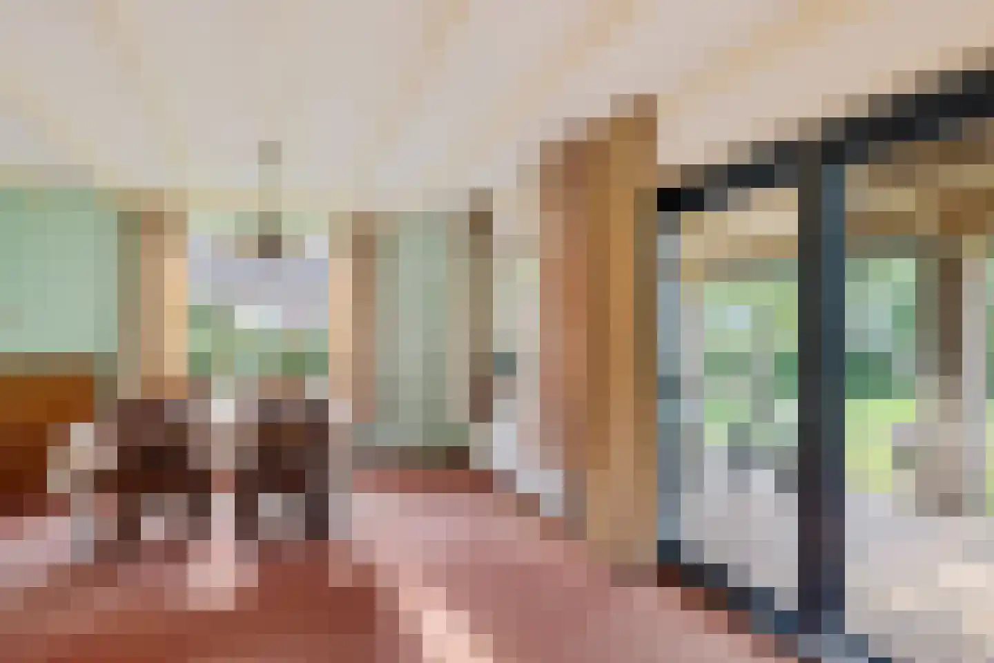 Wijsterseweg 6 Mantinge thumbnail 15