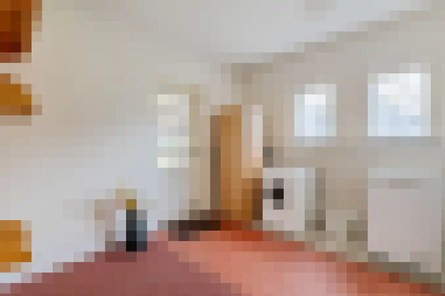 Wijsterseweg 6 Mantinge thumbnail 24