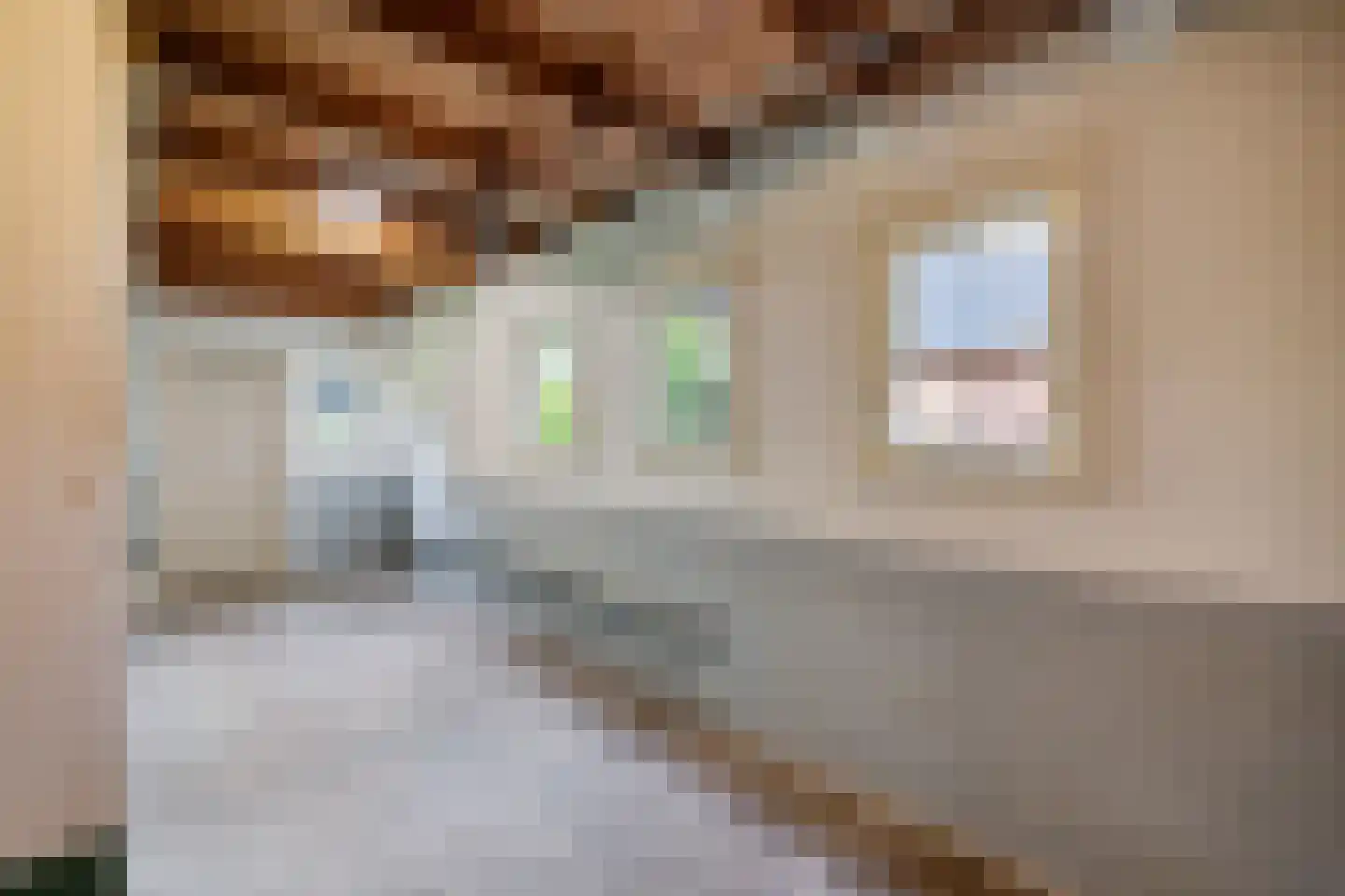 Wijsterseweg 6 Mantinge thumbnail 27